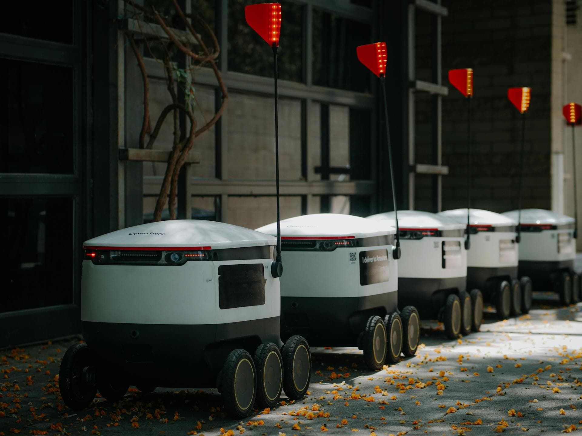 Agentic AI Development